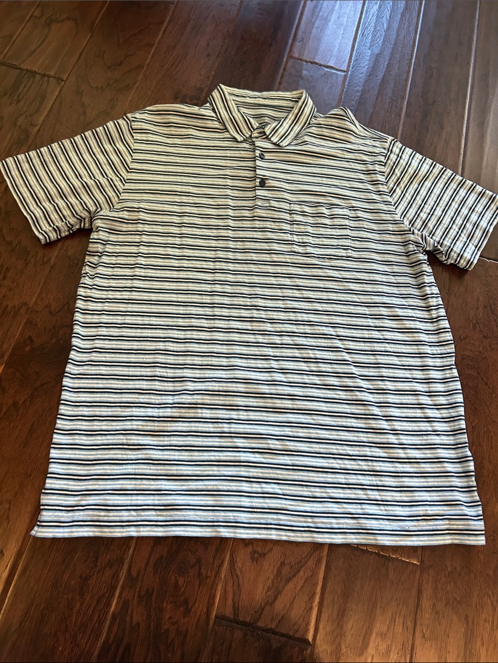 Patagonia Men's Short Sleeve Striped Polo Blue and White Shirt